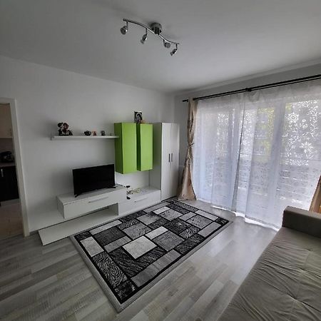 Casa Brianna Apartment Brasov Bagian luar foto